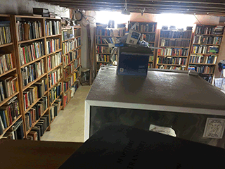 Basement Library