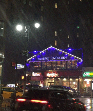 Snowy Beer Haus