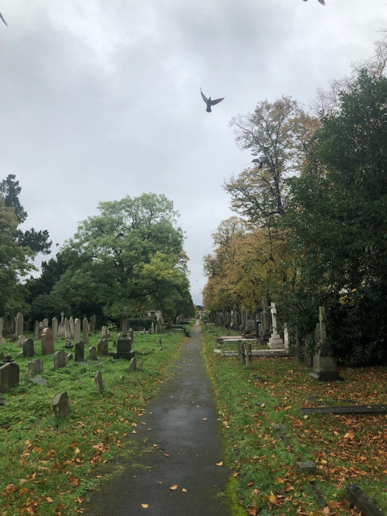 Graveyard Ravens Flying