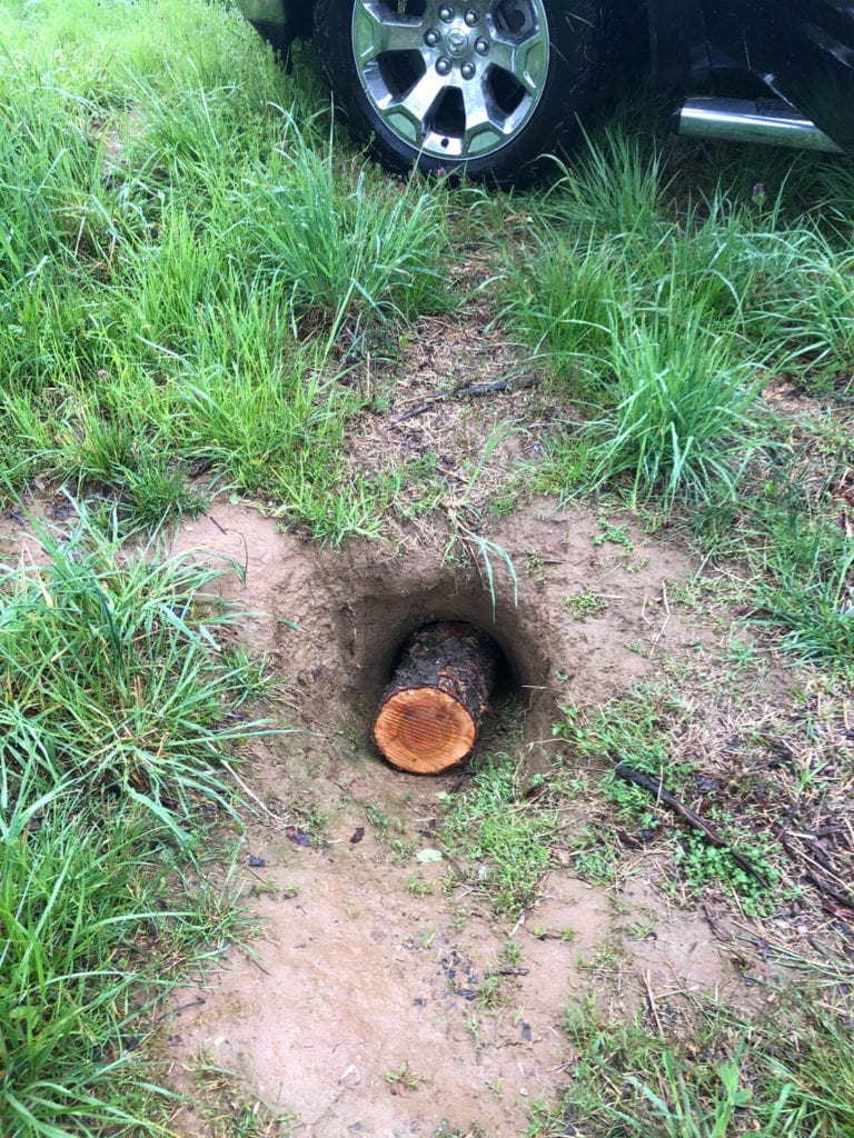 Log in Groundhog Hole
