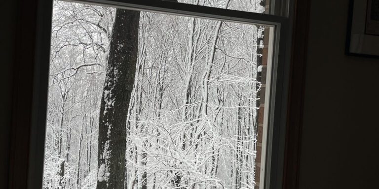 Snowy Window