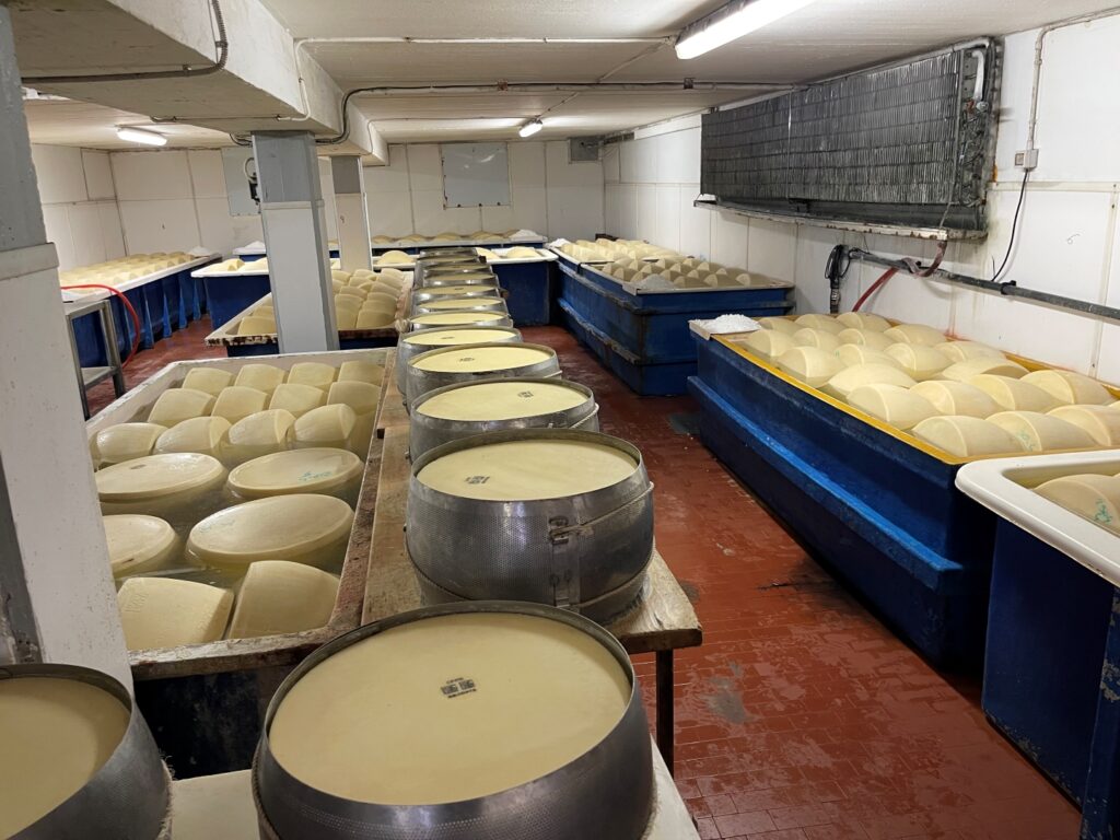 Cheese Bath